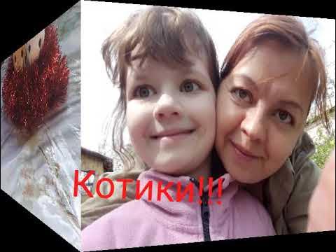 Кошачий клип МЯУ-МЯУ для всей семьи видео-клип кошачий хор 🐱 - YouTube