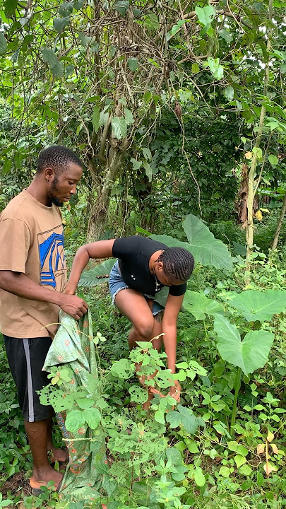 #music #newmusic #originalsong