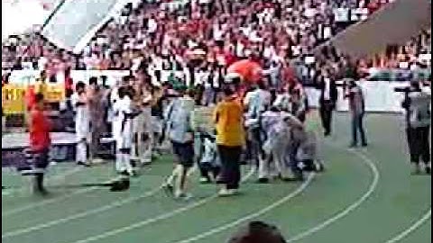 VfB Stuttgart - Eintracht Frankfurt 2:0_25.04.2009