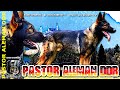 El PODER SUPERIOR del PASTOR ALEMAN DDR 💥 🔥