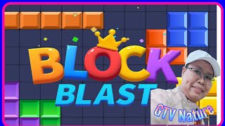 BLOCK BLAST : PUZZLE GAMES 5/12/2025 #blockblast #block blast screenshot 2