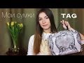 ♡ TAG: Мои СУМКИ / My Handbags ♡
