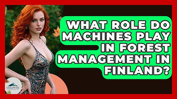What Role Do Machines Play In Forest Management In Finland? - Unmapping Scandinavia