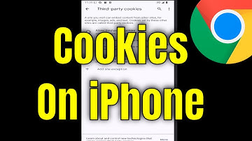 How To Enable Or Disable Google Chrome Cookies On iPhone [2025]