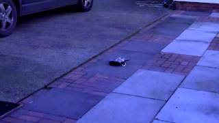 Droidworx Adx3Hl - Dji Wkm - Torxpower