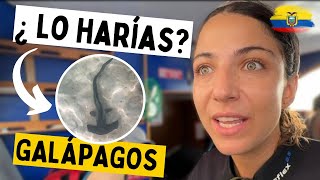 Thumbnail image for ⚠️ BUCEAR con TIBURONES es posible en esta isla PARADISIÁCA [Hay que tener CUIDADO]⛔ #galapagos