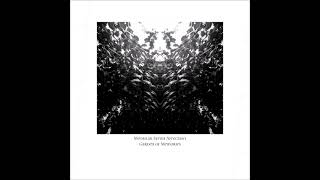 Modular Synth Affection - Garden of Memories (Van Morph rmx) [KHR032]