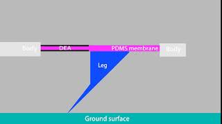 DEAnsect animation showing leg motion as propelled by artificial muscles screenshot 5