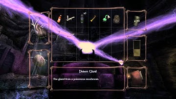 Amnesia (Part 34) - THE END