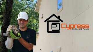 Critter Control Service | Spring Tx | Houston | Cypress Critters and Pests
