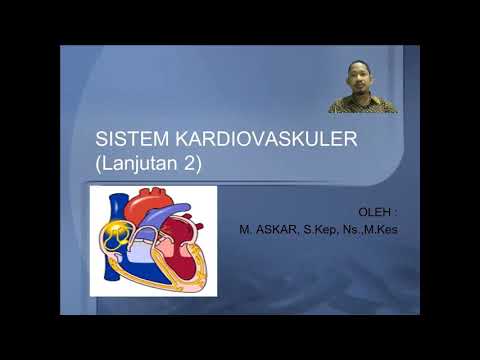 Anatomi Fisiologi Sistem Kardiovaskuler Bagian 2 (Cardiac Output, Sistem Vaskuler, Tekanan darah)