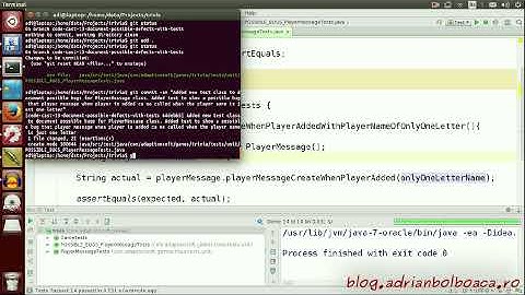 Code Cast: Legacy Coderetreat Episode 13 - Document Possible Defects With Tests [Java]