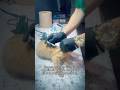 La visita de este gatito tierno al veterinario #viral #gatos #gatitos #gatinhos