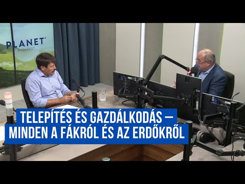 Telepítés és gazdálkodás – minden a fákról és az erdőkről