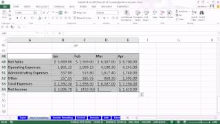 Office 2013 Class #28: Excel Basics 10: Style Formatting: By Hand, Cell, Table & Conditional Format