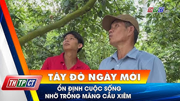 Ổn định cuộc sống nhờ trồng mãng cầu xiêm | Cần Thơ TV