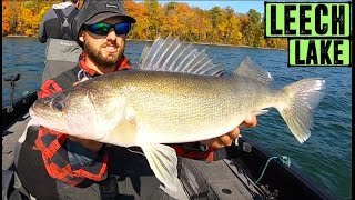 SURE-FIRE Way to Find and Catch Fall Walleyes RIGHT NOW!