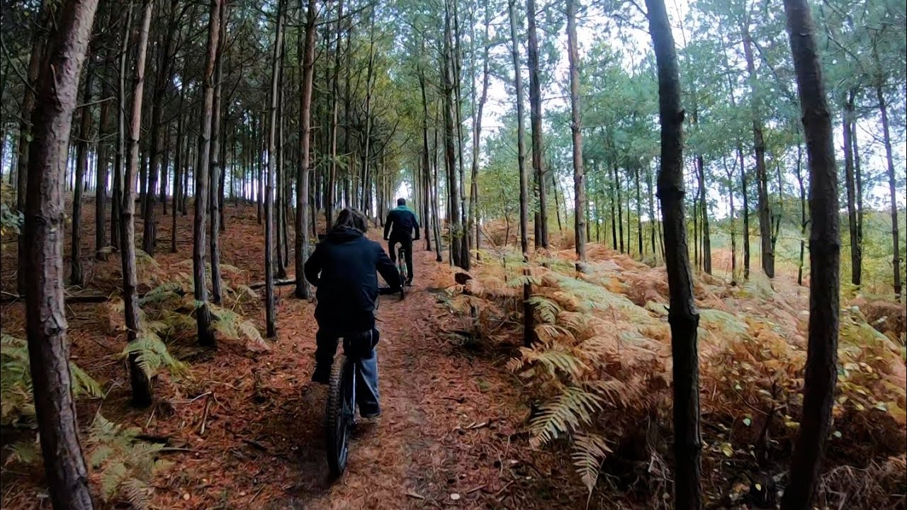 Forest bike ride - YouTube