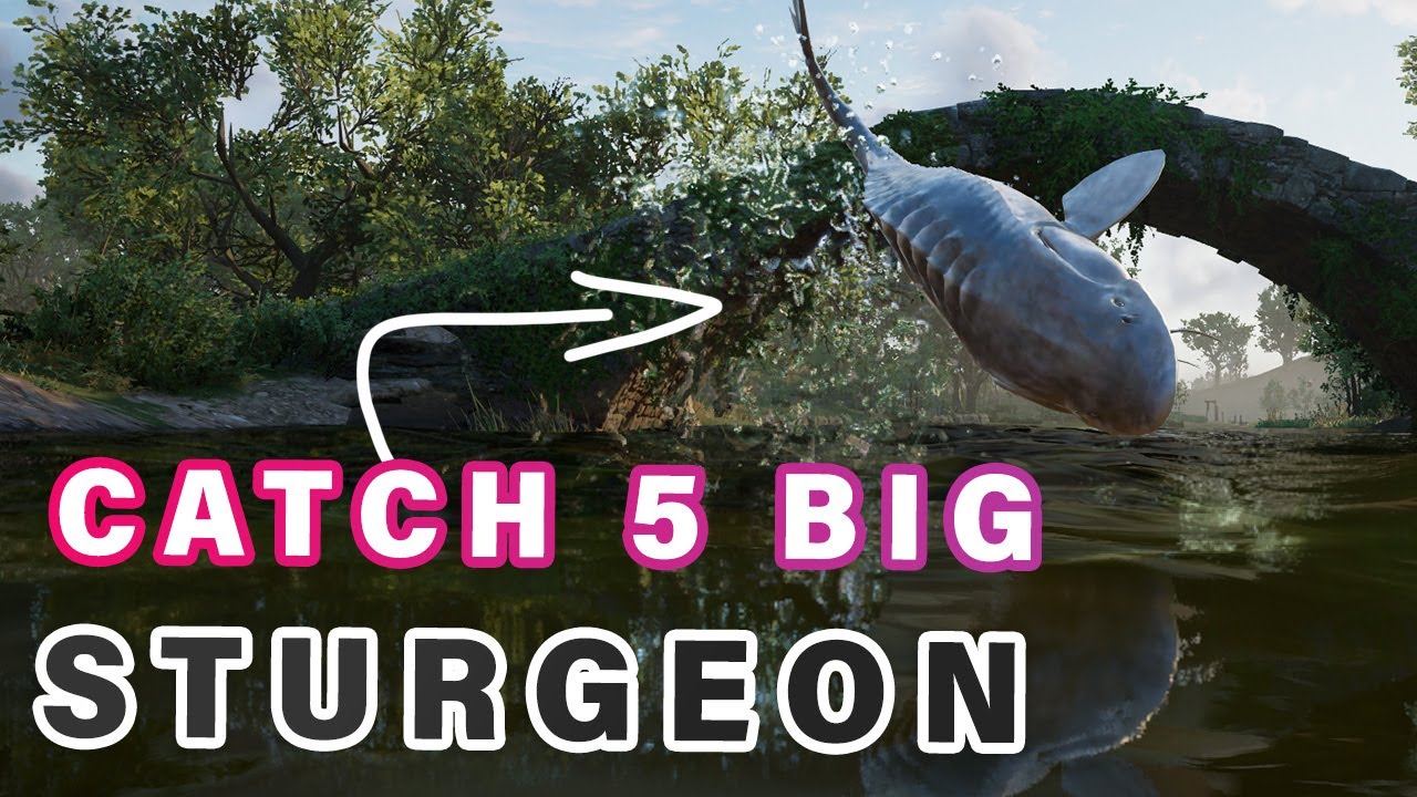 Where to get 5 Big Sturgeon Fish for Mystery Altar AC Valhalla YouTube