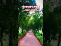 nature #shortvideo #trending #beautiful