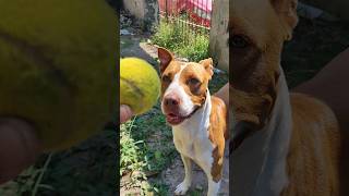 É deste geito que ela gosta 🥎🥎🥎