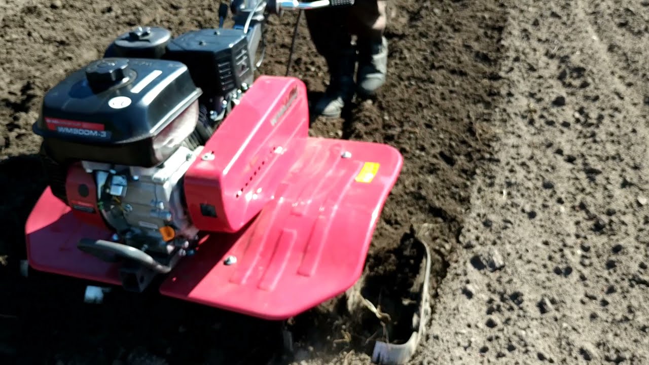 Посев проса сорго ,  для изготовления веников . Мотоблоком WEIMA 900-3 фрезами .