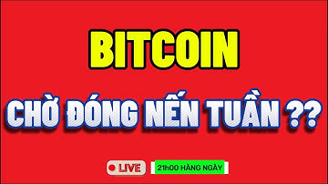 🔴Phân Tích Bitcoin Hôm Nay và Cập Nhật Thị Trường Crypto Mới Nhất Ngày 16/11/2025