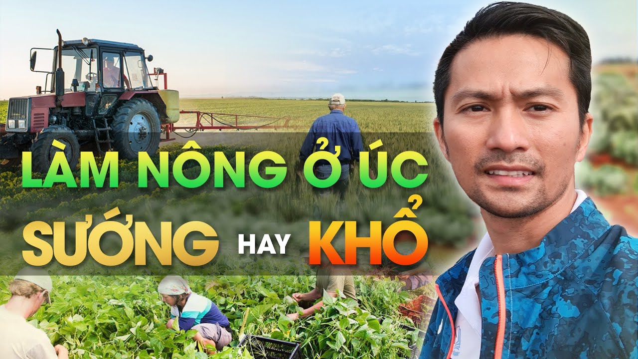 Làm nông nghiệp tại Úc: Cơ hội và thách thức cho lao động Việt