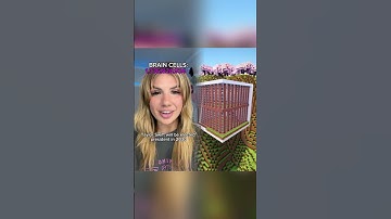 #pov everyday you get a different amount of brain cells…part 8???? #baileyspinn