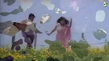 Minsaaram En Meedhu Song | Run | Madhavan | Meerajasmine