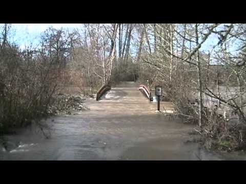 Minto Brown Island Park Flooded - Salem, Oregon - YouTube