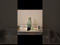 Vulcão de Espuma: Reação Química que Explode em Espuma!
