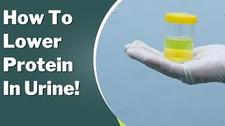 Proteinuria Treatment: How to Lower Your protein in Urine