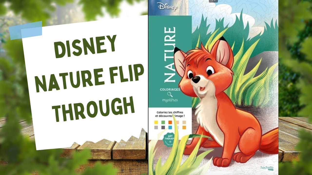 French Disney Coloring book Haul and Flip! 