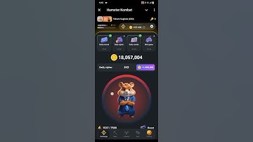 Hamster Kombat Daily CIPHER Code 24 July