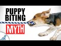 Trying To Stop Puppy Biting? Forget What You've Been Told..