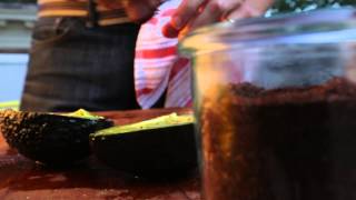 Grilling Avocados With Adam Rapoport Tasting Table