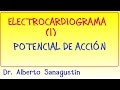 Electrocardiograma(1): Potencial de Acción - Despolarización - Repolarización