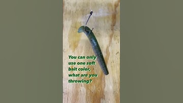 The BEST Fishing Lure Color!