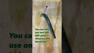 The BEST Fishing Lure Color!