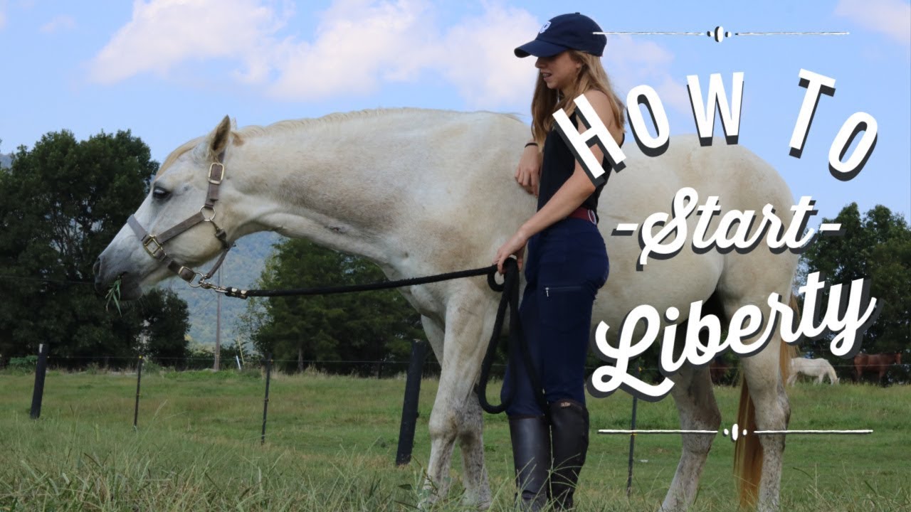 How to Start Liberty with Your Horse! YouTube