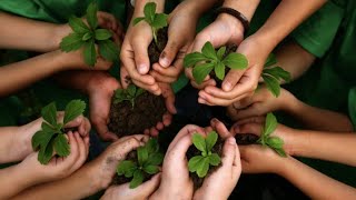 Sajak Alam 🌎| Tingkatan 1 |