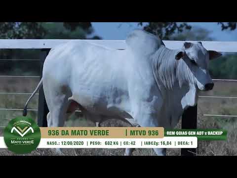 LOTE 28   MTVD 936