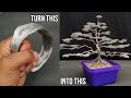 How to make bonsai using an old metal wire| Art of bonsai using wire | Bonsai | Home Decor