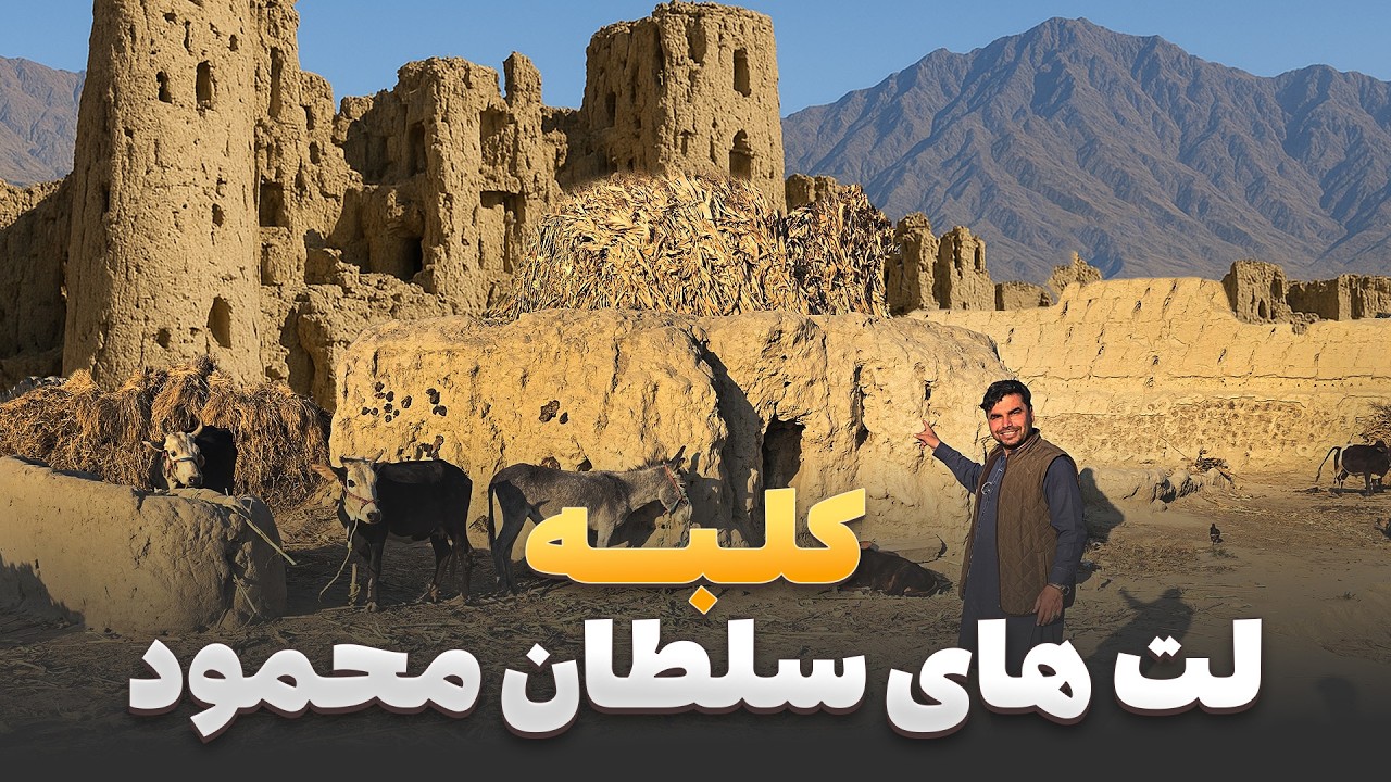 افغان سین - دیدار هادی صافی از مکان بود وباش لت های سلطان محمود