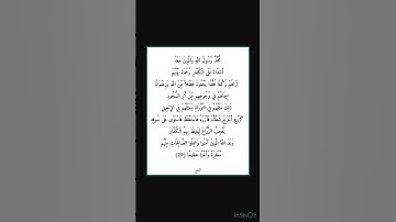 سورة الفتح - سورة 48 - اية 29