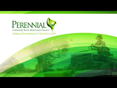 Video: Perennial Mabangong Hardin