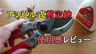 アンビル式の剪定鋏を購入したので使用感をレビュー　(ぶどう・イチジク用)