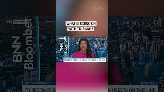 Canada's TD: The World's Most Shorted Bank Stock? | Explained & Analyzed