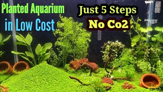 Planted Aquarium | Carpet Plant |  Create Planted aquarium with carpet in Low cost |  No Co2 |  fish